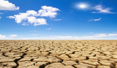 干旱區(qū)生物多樣性保護的形勢與任務(wù)